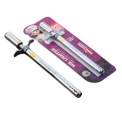 Pragati Agencies - Electric Plasma Arc Lighter USB Rechargeable Purple